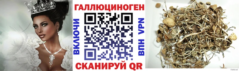 гидра онион  Краснослободск  Псилоцибиновые грибы Magic Shrooms 